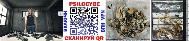 Галлюциногенные грибы ЛСД  хочу   Коркино 
