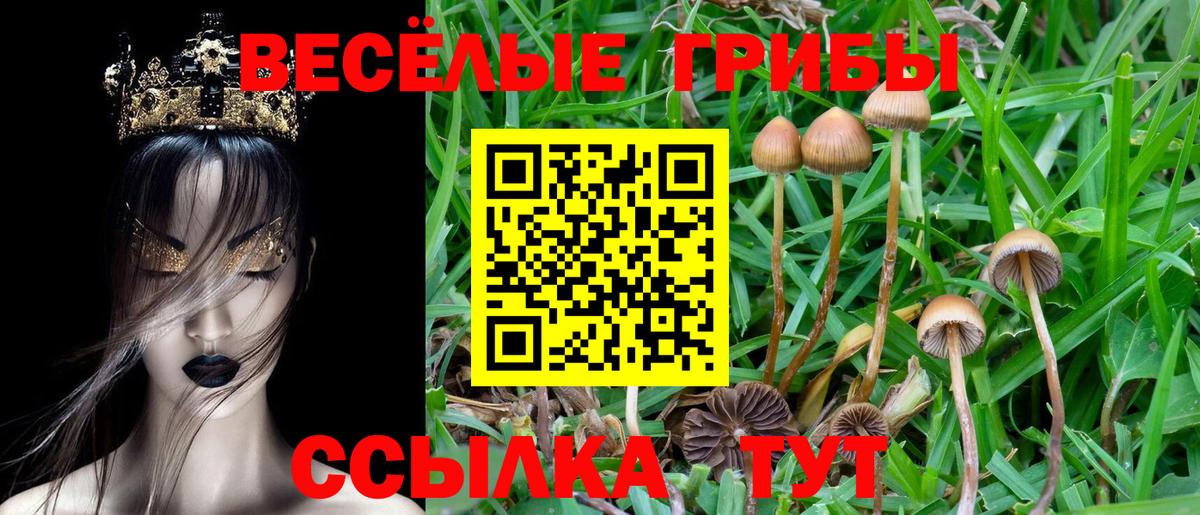 Галлюциногенные грибы Cubensis  Вход с VPN  Галлюциногенные грибы MAGIC MUSHROOMS  Коркино 